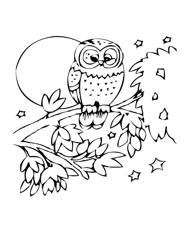 736x952 Flying Fish Coloring Page Flying Fish Coloring Page Owl Coloring