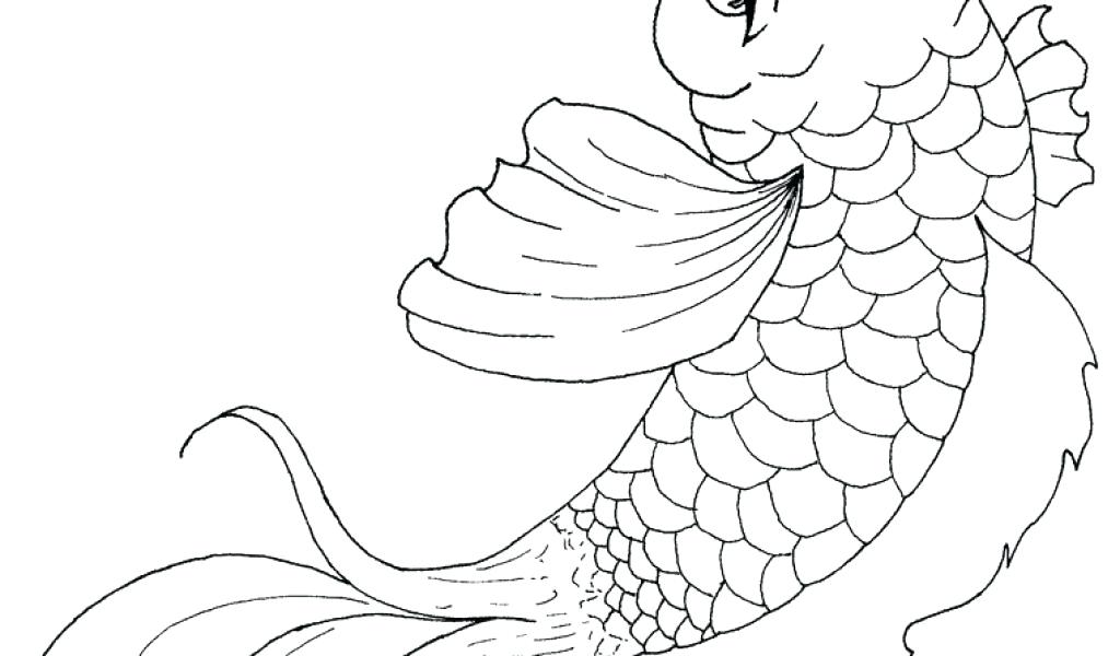 1024x600 Free Fish Flying Fish Free Tropical Fish Coloring Pages Free