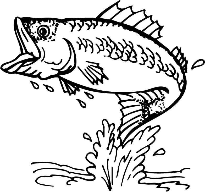 783x733 Jumping Fish Coloring Pages