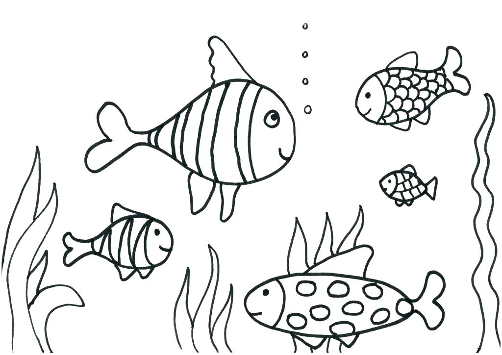 1024x724 Printable Coloring Pages Of Fish Flying Fish Coloring Page Free