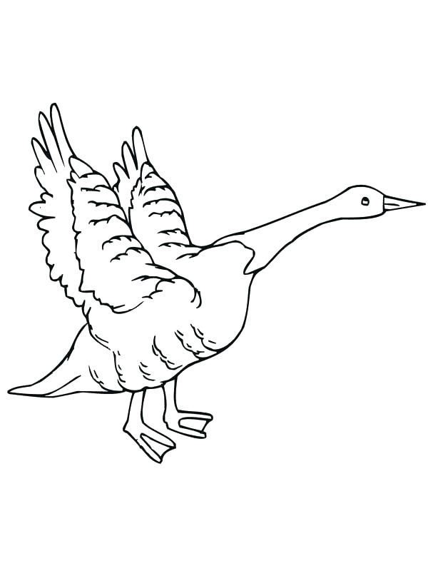 600x800 Flying Goose Coloring Page Canada Goose Coloring Page Flying Goose