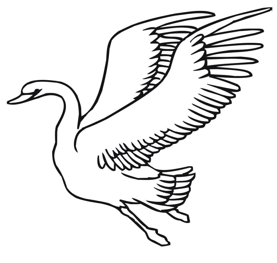1136x1080 Flying Swans Coloring Pages