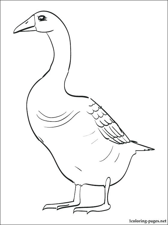 560x750 Goosebumps Coloring Pages Goose Coloring Page Goose Printable