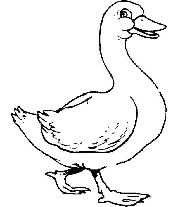 633x708 Mother Goose Coloring Pages Goose Coloring Page Wild Goose