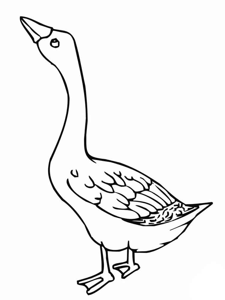 750x1000 Nene Goose Coloring Page Online Coloring Pages Starting