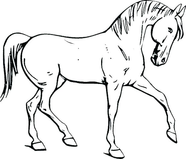 618x528 Horse Coloring Pages Printable Coloring Pages Of Horses Printable