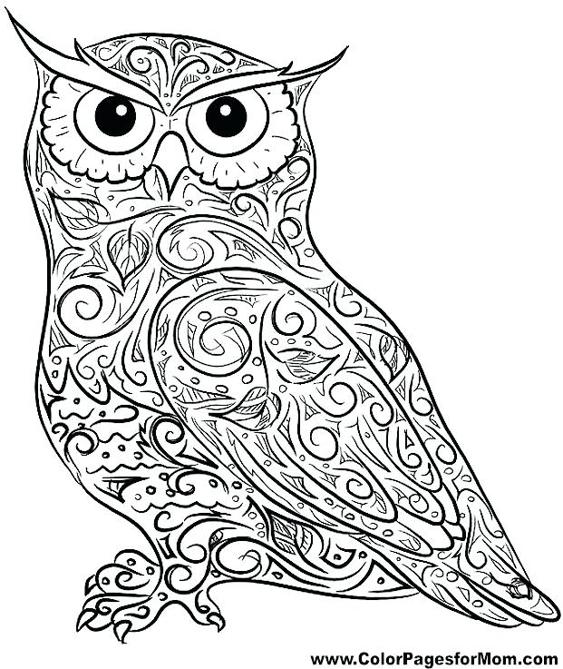621x737 Coloring Pages Owl Delectable Owl Coloring Pages Flying Owl