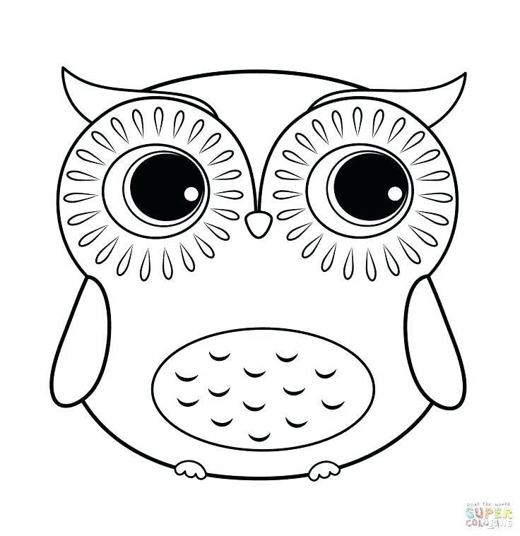 736x759 Owl Coloring Page Appealing Cute Owl Coloring Pages For Your Site