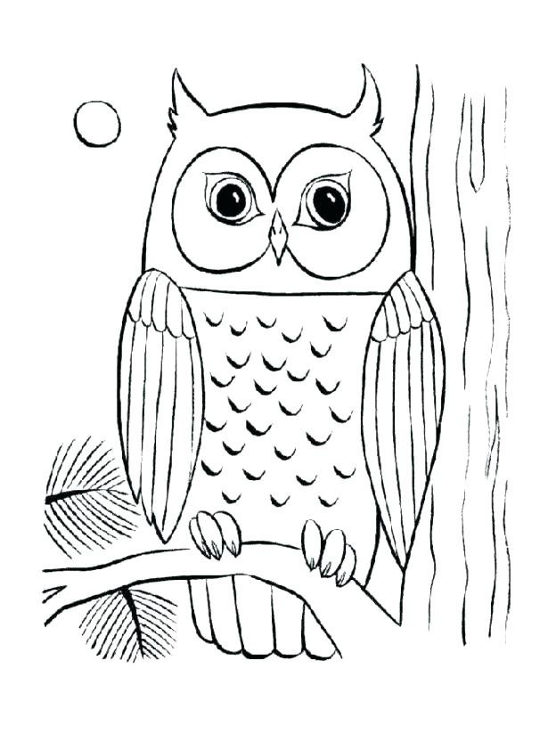 615x824 Baby Owl Coloring Page Baby Owls Coloring Sheet To Print Baby Owl