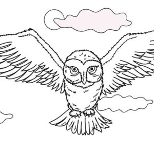 300x300 Flying Owl Coloring Page Flying Owl Coloring Page Color Nimbus