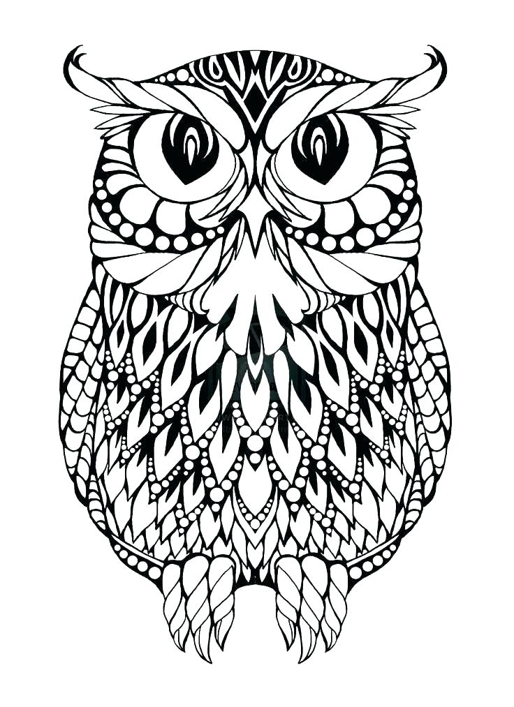 736x1013 Cartoon Owl Coloring Pages Owl Coloring Page Cute Owl Coloring
