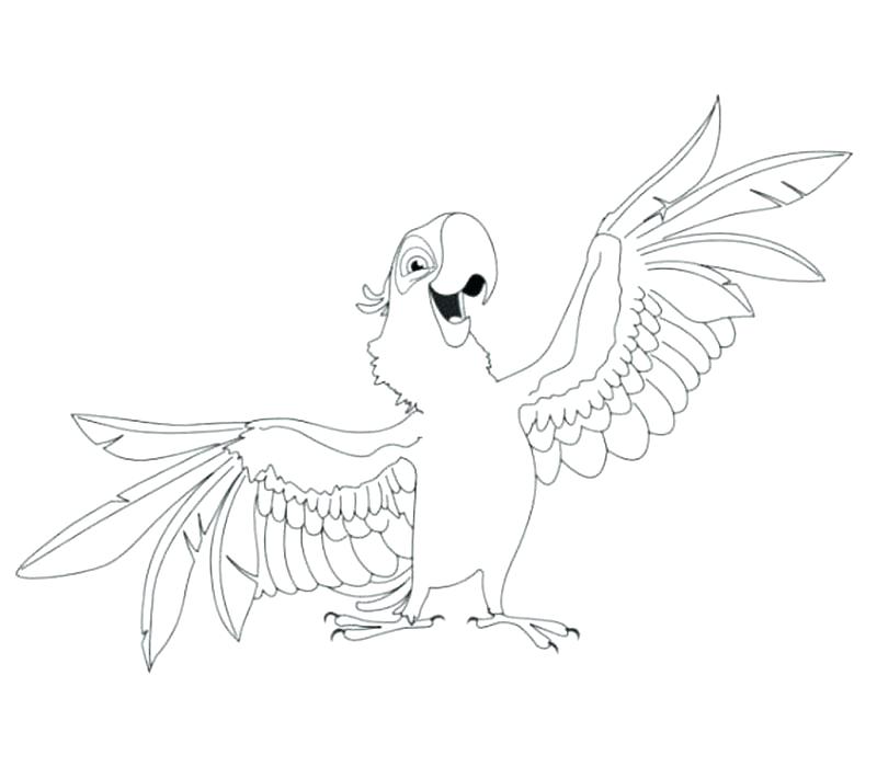 800x700 Coloring Pages Of Parrots Parrot Coloring Pages Printable Flying