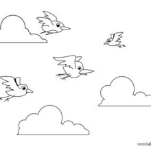 220x220 Flying Birds Coloring Pages