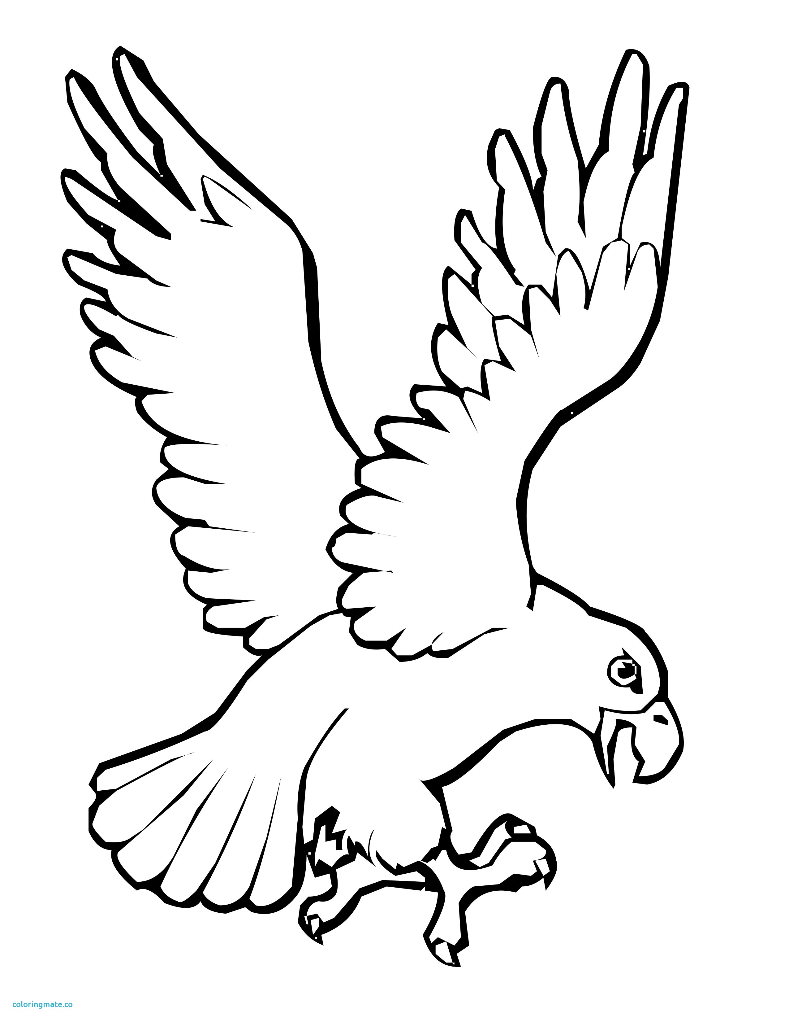 2550x3300 New Birds Coloring Pages Beautiful Bird Flying Pencil Coloring