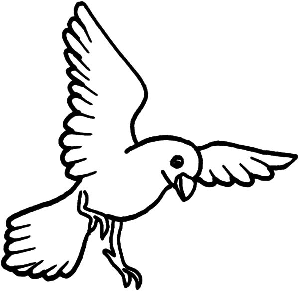 600x584 Birds Coloring Pages Beautiful Free Coloring Pages Of Flying Birds