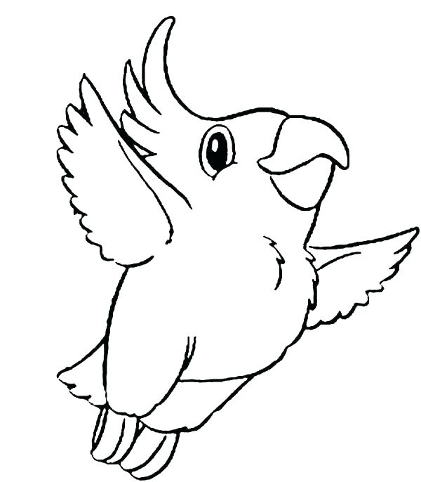 600x686 Parrot Coloring Pages Flying Parrot Coloring Pages Flying Parrot