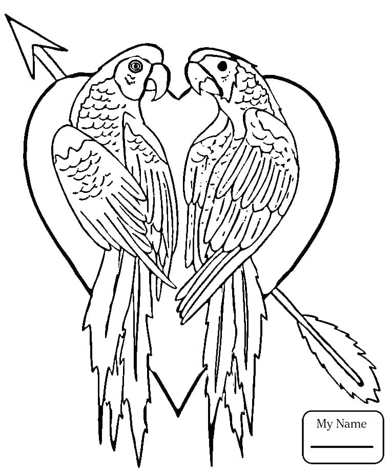 765x922 Coloring Page Birds Coloring Page Birds Flying