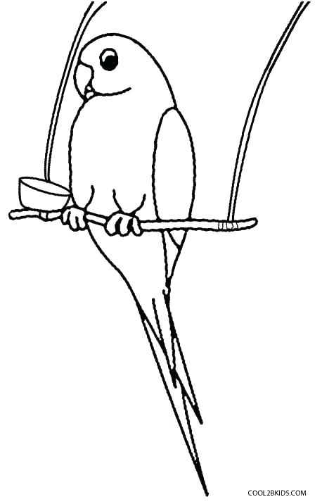 448x716 Coloring Pages Birds Flying
