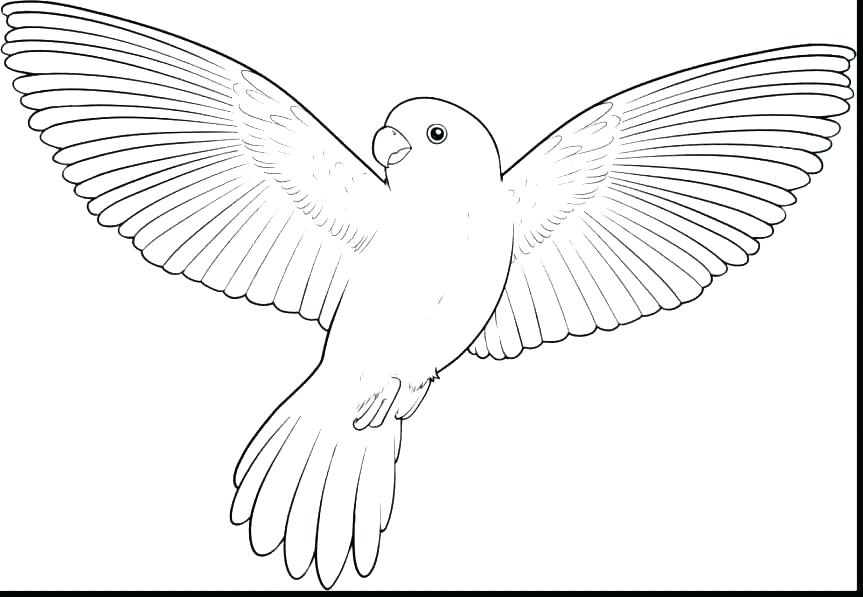 863x597 Coloring Page Of A Bird Glamorous Coloring Page Bird Free Angry