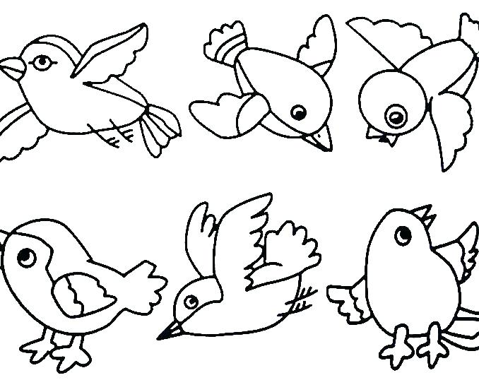 678x538 Coloring Pages Birds Free Coloring Pages Birds Coloring Pages