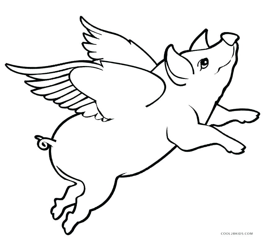 850x778 Guinea Pig Coloring Page Baby Pig Coloring Pages Coloring Pages