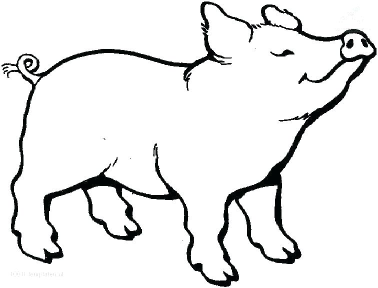 756x576 Flying Pig Coloring Pages Animals Page Online Murs