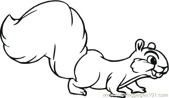 550x319 Squirrel Coloring Page Flying Squirrel Coloring Page Free Line Art