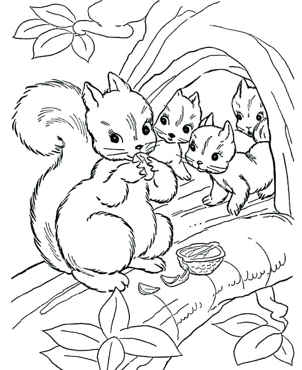 600x734 Squirrel Coloring Page Squirrel Coloring Page Printable Flying