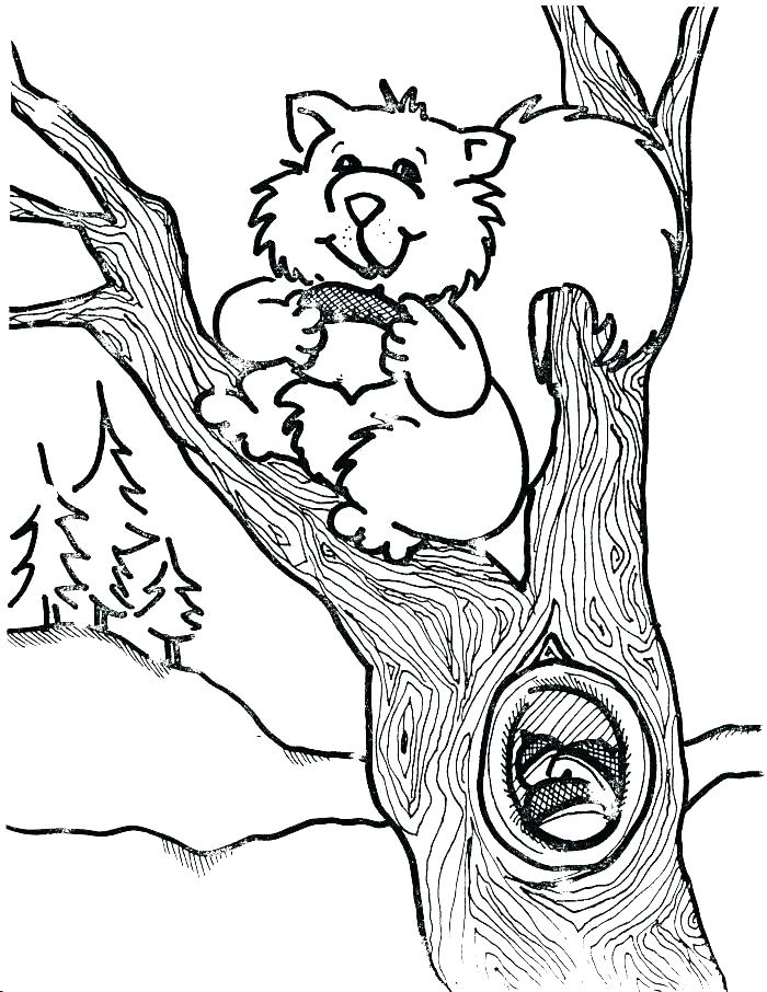 700x906 Squirrel Coloring Page