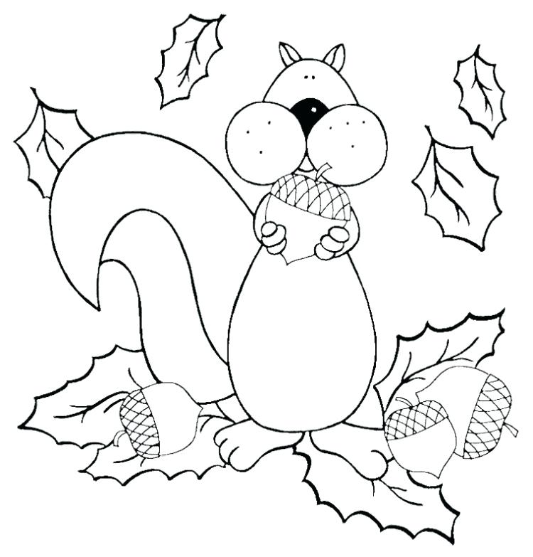 750x783 Squirrel Coloring Pages