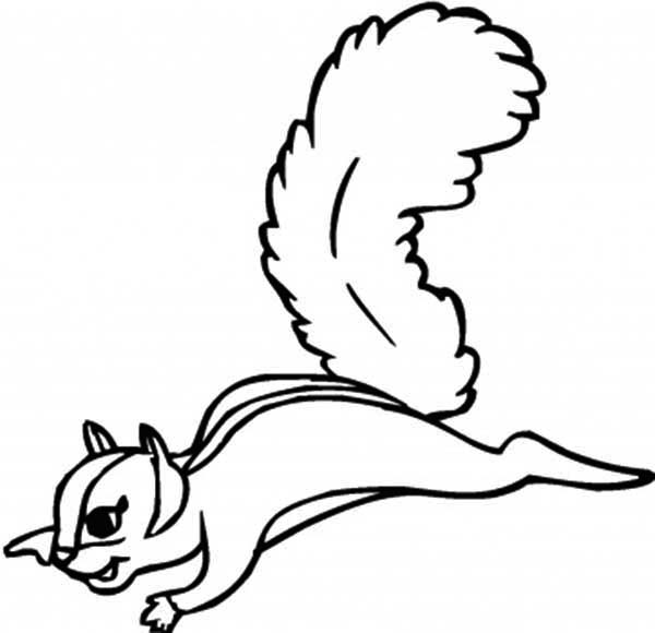 600x580 Flying Squirrel Coloring Page
