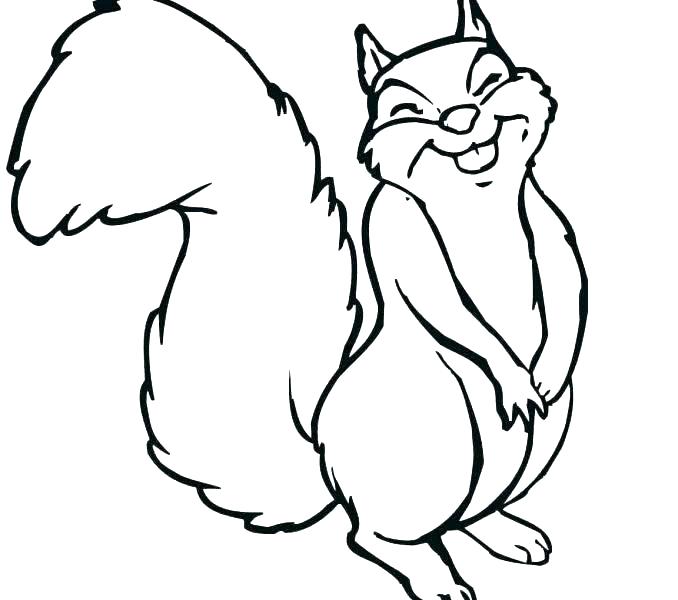 678x600 Flying Squirrel Coloring Page Coloring Pages Of Squirrels Squirrel