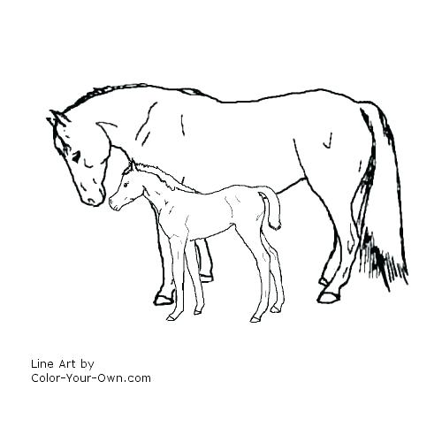 500x500 Filly Coloring Pages