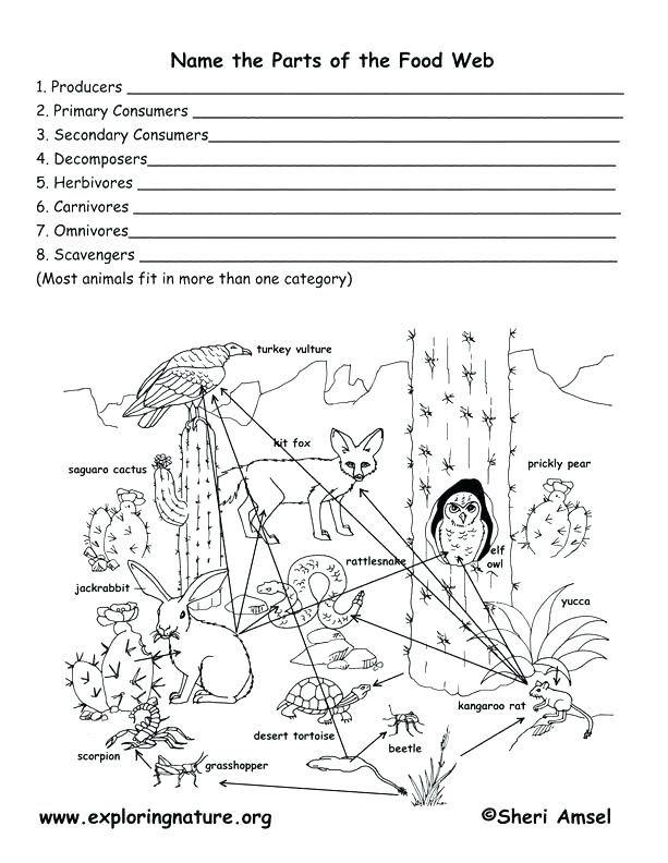 613x792 Desert Food Chain Coloring Pages Best Of Pictures Page Picture