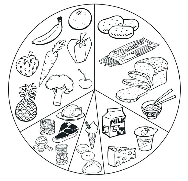 630x608 Food Chain Coloring Pages