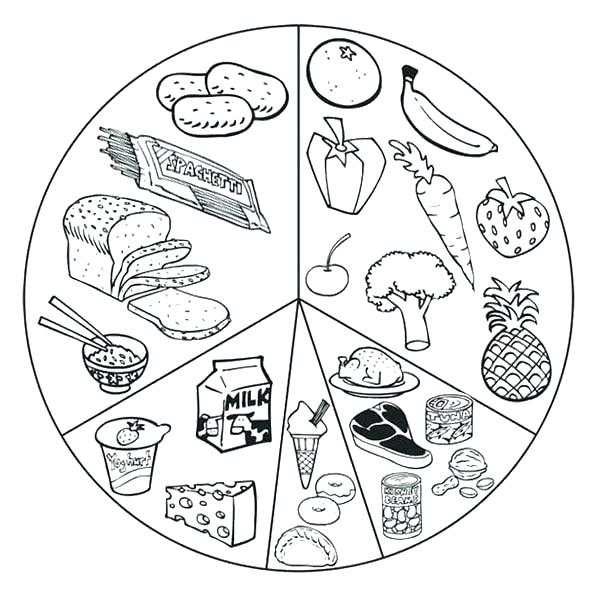 600x601 Food Web Coloring Pages