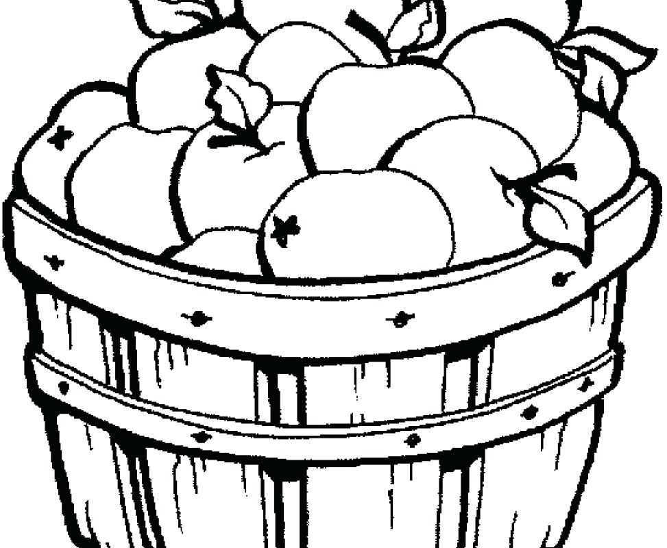973x800 Picnic Basket Coloring Page Bushel Basket Of Apples Coloring Page