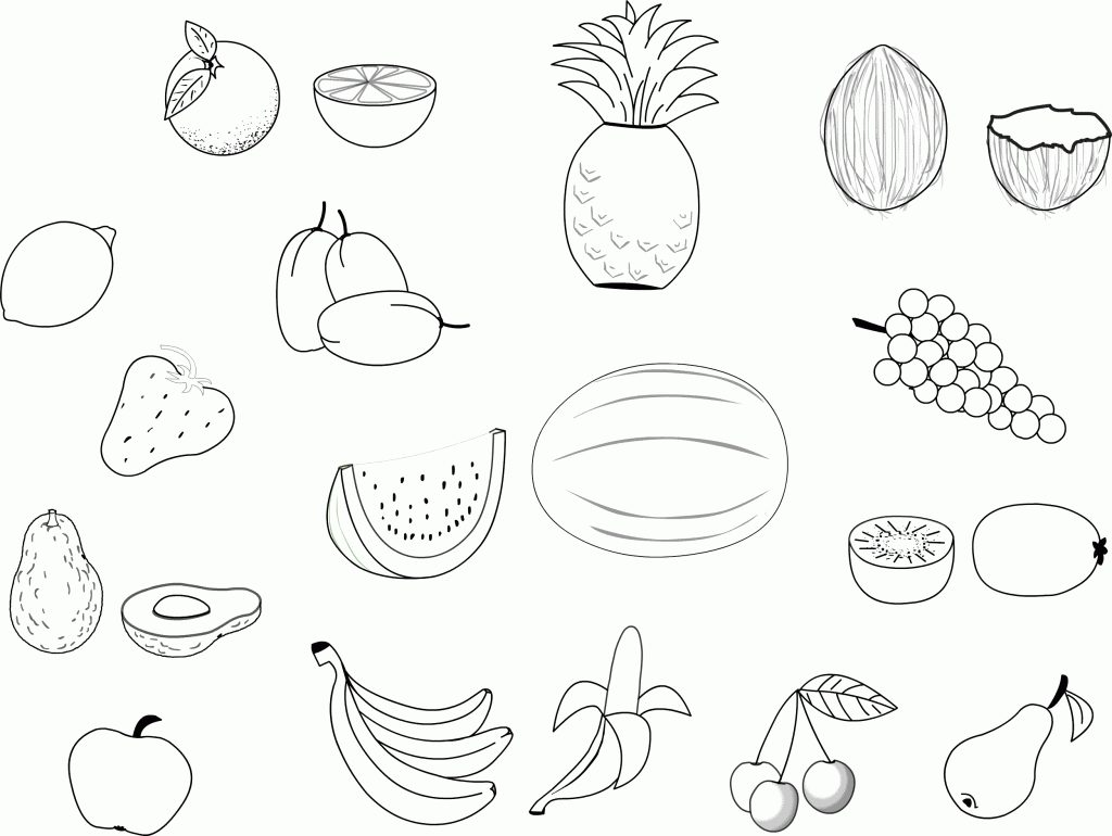 1024x770 Food Groups Coloring Pages