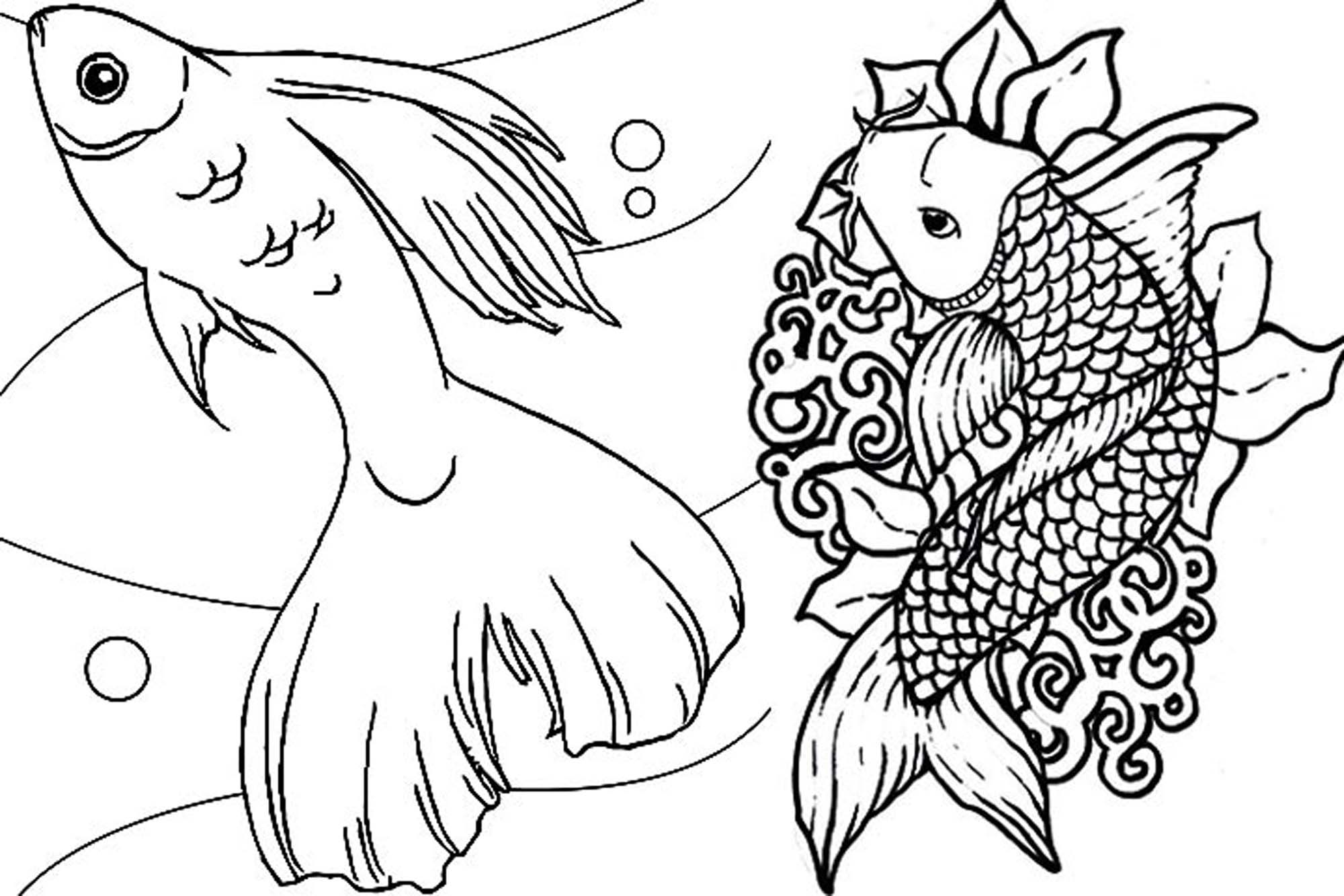 2000x1333 Remarkable Football Fish Coloring Page Japanese Koi Pages For Kids