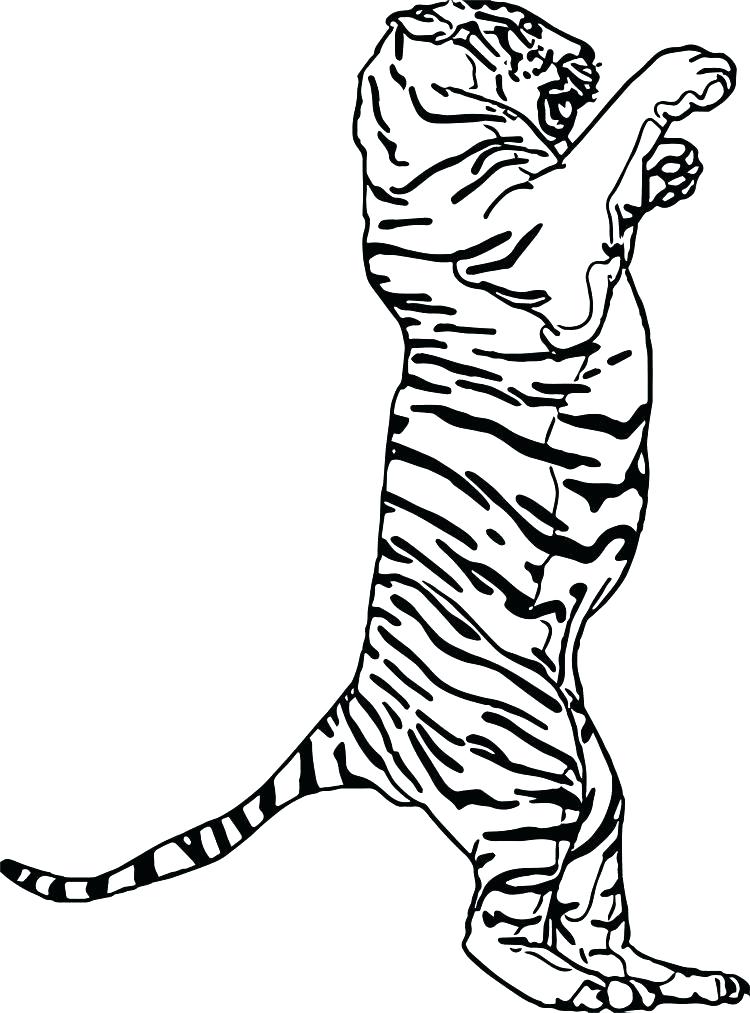 750x1013 Footprint Coloring Page Foot Coloring Page Foot Coloring Page