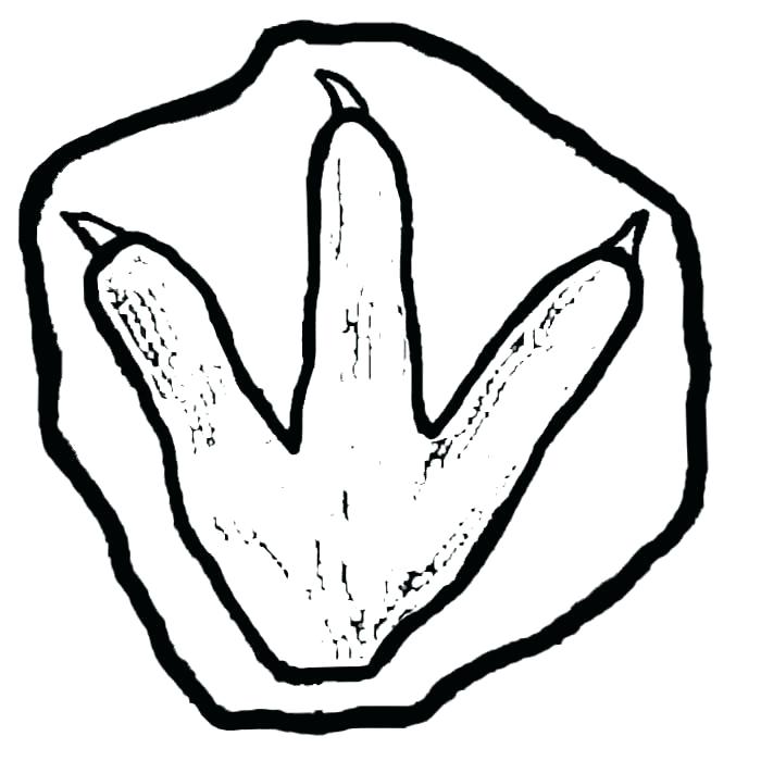 700x700 Footprint Coloring Page Footprint Template Image Dinosaur