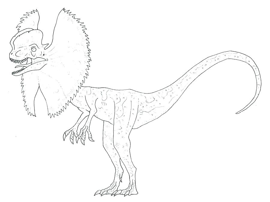900x672 Raptor Coloring Pages Coloring Pages Coloring Pages Coloring Pages