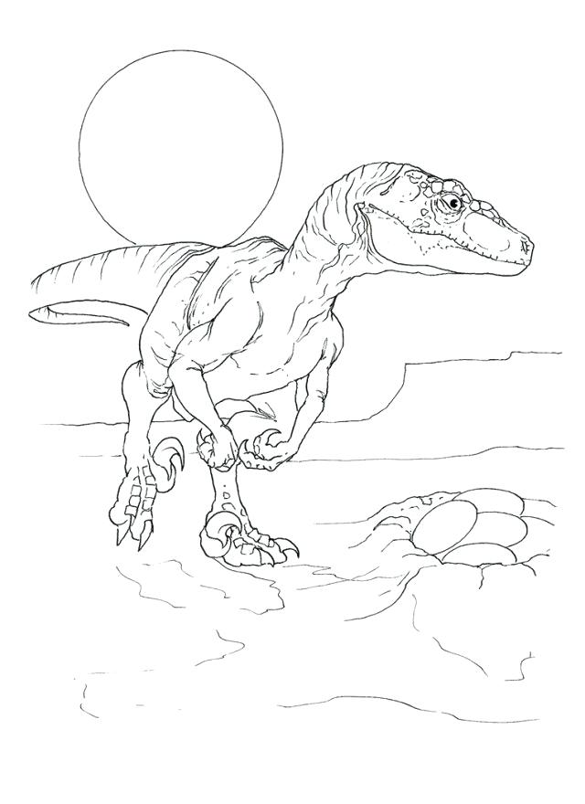 640x880 Velociraptor Coloring Pages Related Post Jurassic Park