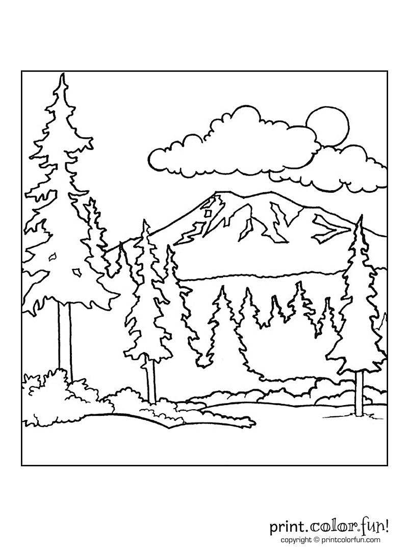800x1080 Puppy Dog In The Forest Coloring Page Free Printable Pages Adult