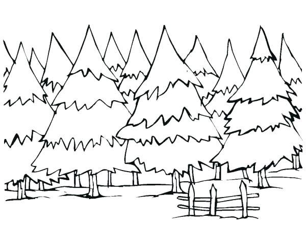 600x493 Coloring Pages Forest Forest Coloring Pages Forest Coloring Page