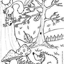 220x220 Squirrel And Hedgehog Coloring Pages
