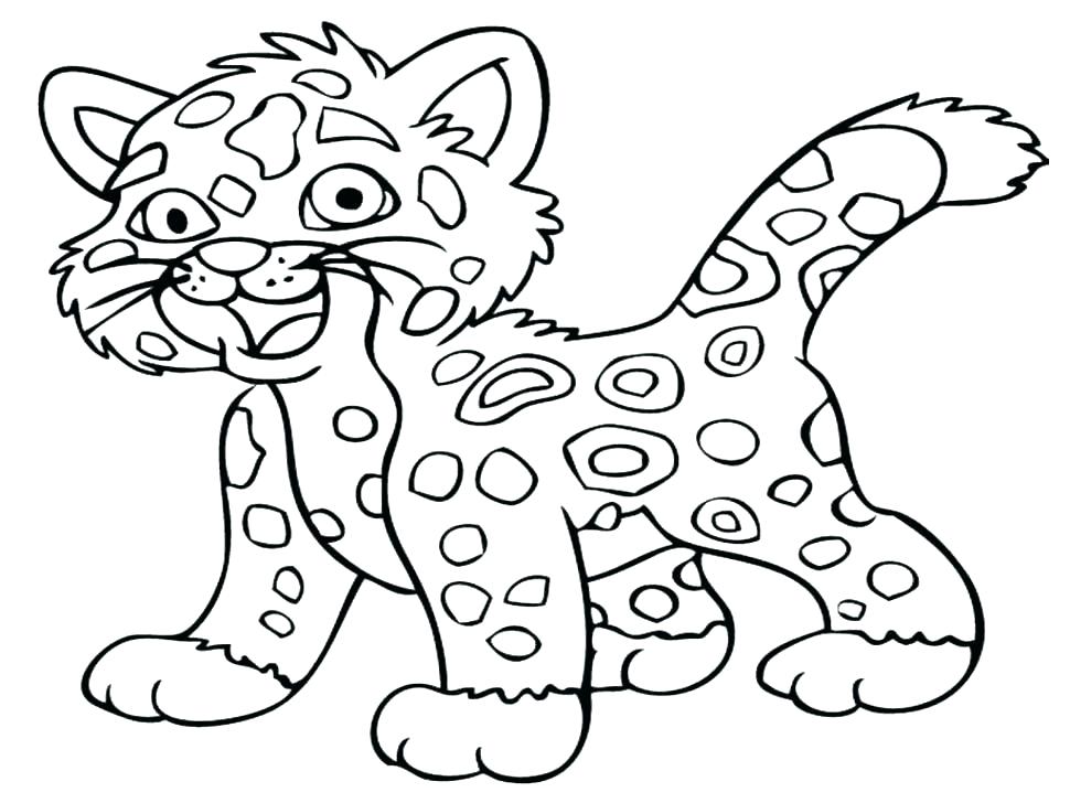 970x728 Rainforest Animals Coloring Pages