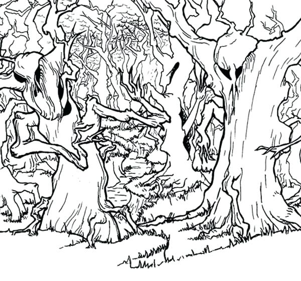 600x561 Forest Coloring Page Haunted Forest Coloring Page Enchanted Forest