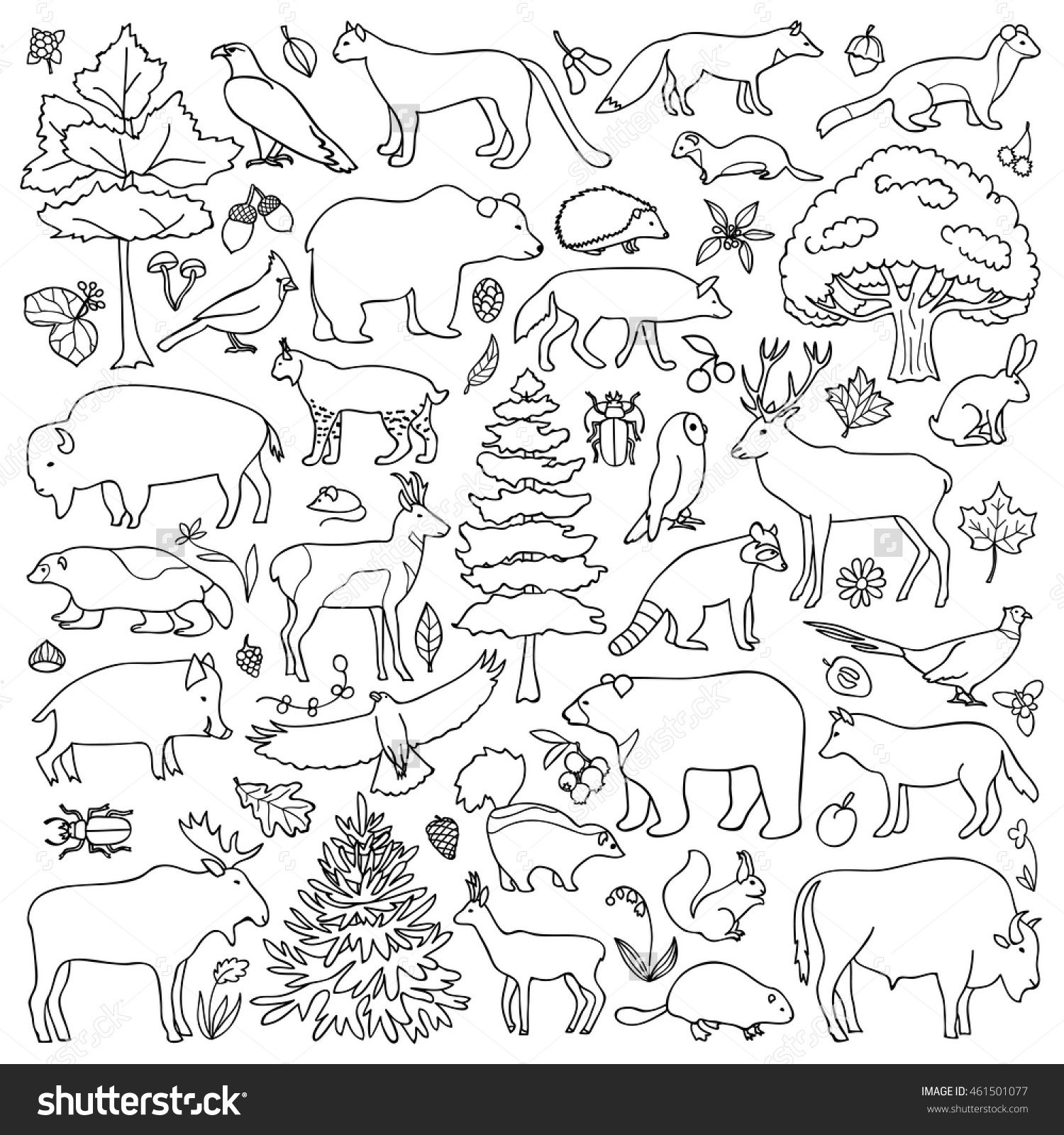 1500x1600 Forest Animals Coloring Pages Printable
