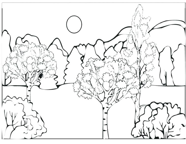 756x585 Forest Coloring Pages